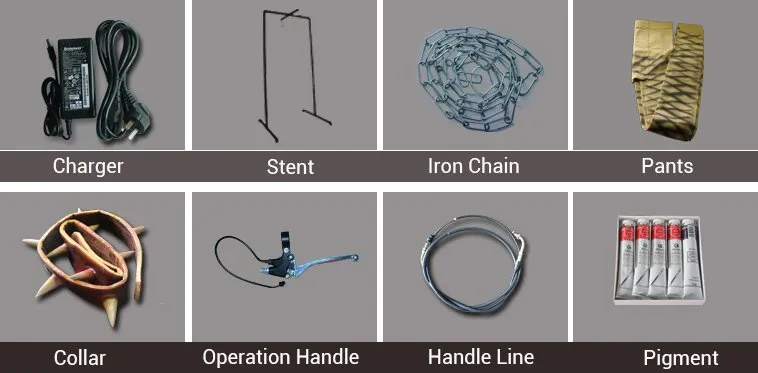 Dinosaur Accessories