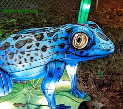 Festival dekorasyon antèn krapo